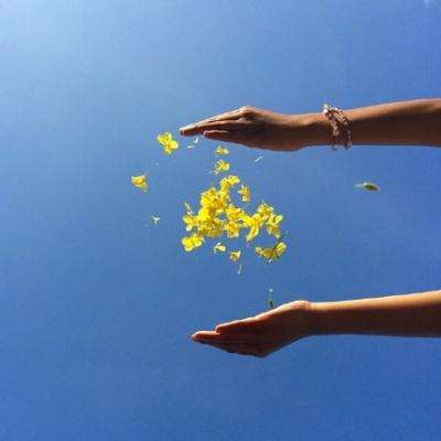 博鱼中国官网下载入口