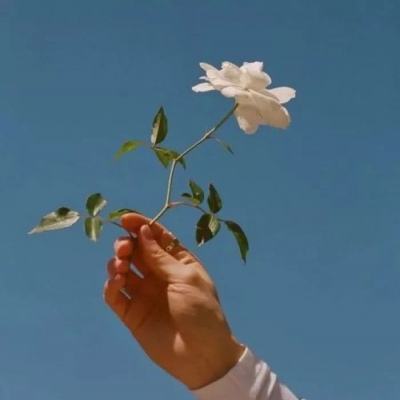 澳门一码一肖一特一中