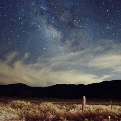 42982金牛网论坛下载手机版