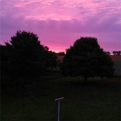 2023年新澳门今晚开特马app下载