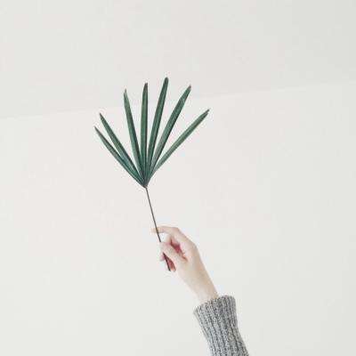 赢三张免费游戏手机app下载