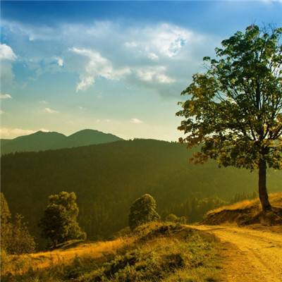 宝博游戏手机app下载